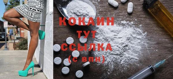 ГАЛЛЮЦИНОГЕННЫЕ ГРИБЫ Абаза