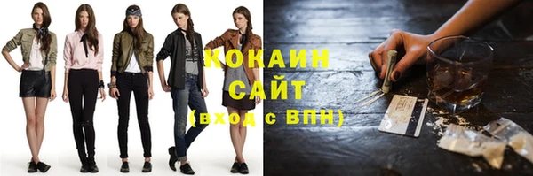 ГАЛЛЮЦИНОГЕННЫЕ ГРИБЫ Абаза
