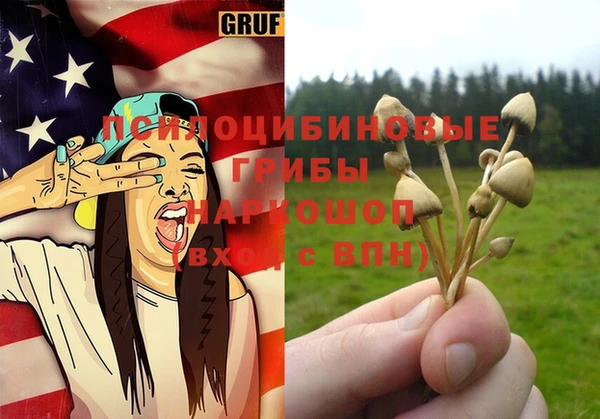 ГАЛЛЮЦИНОГЕННЫЕ ГРИБЫ Абаза