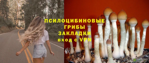 ГАЛЛЮЦИНОГЕННЫЕ ГРИБЫ Абаза