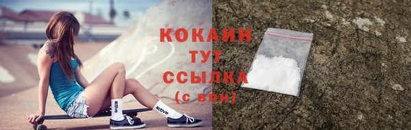 ГАЛЛЮЦИНОГЕННЫЕ ГРИБЫ Абаза
