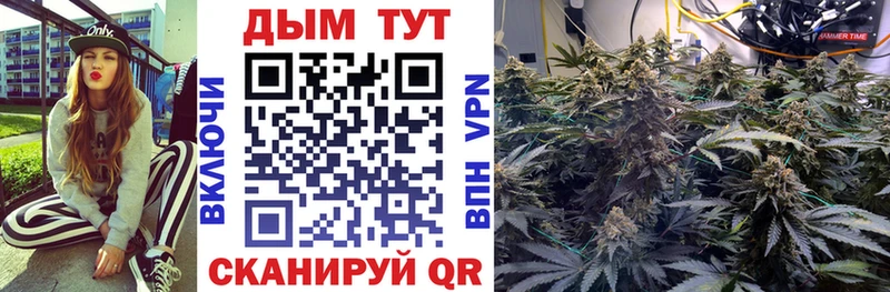 Канабис конопля  Саратов 